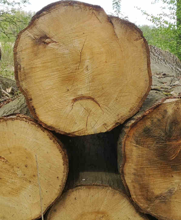 De natuur veroordeelt niet maar werkt wel met natuurlijke consequenties