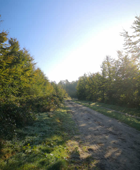 Passie is de GPS van je ziel