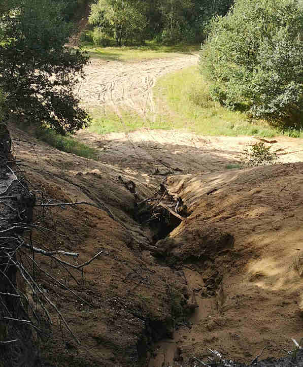 Waarbij kan natuurcoaching jou helpen